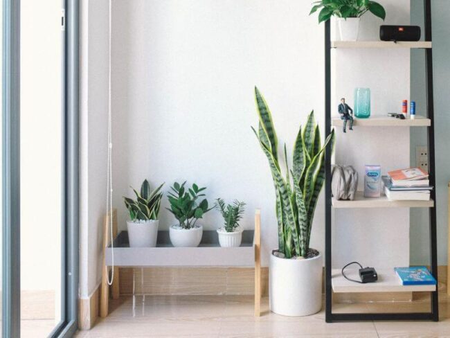 Dosierra empresa de reformas en Valencia