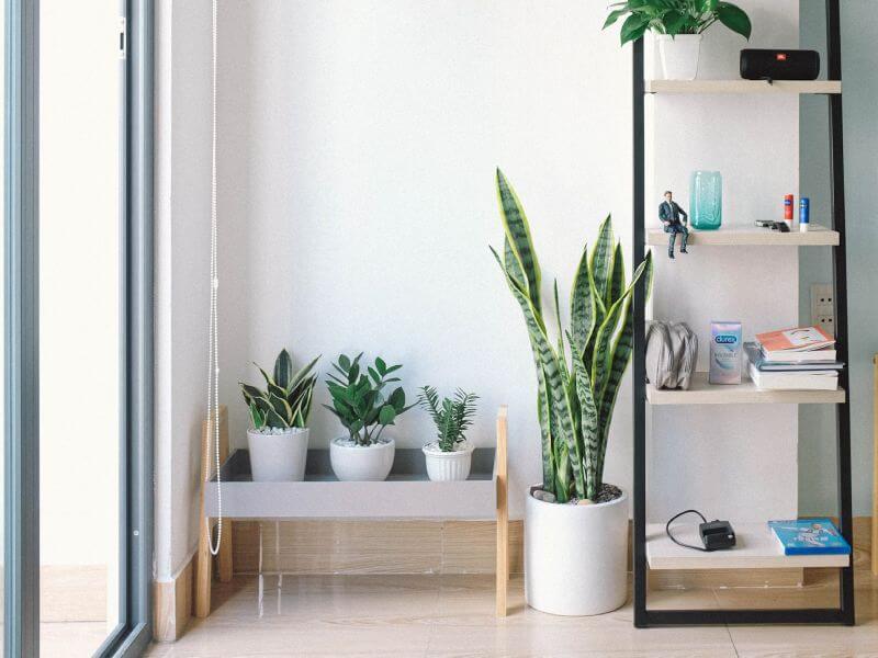 dosierra-empresa-de-reformas-en-valencia Dosierra empresa de reformas en Valencia