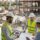 Proyecto y dirección de obras en Valencia paso a paso